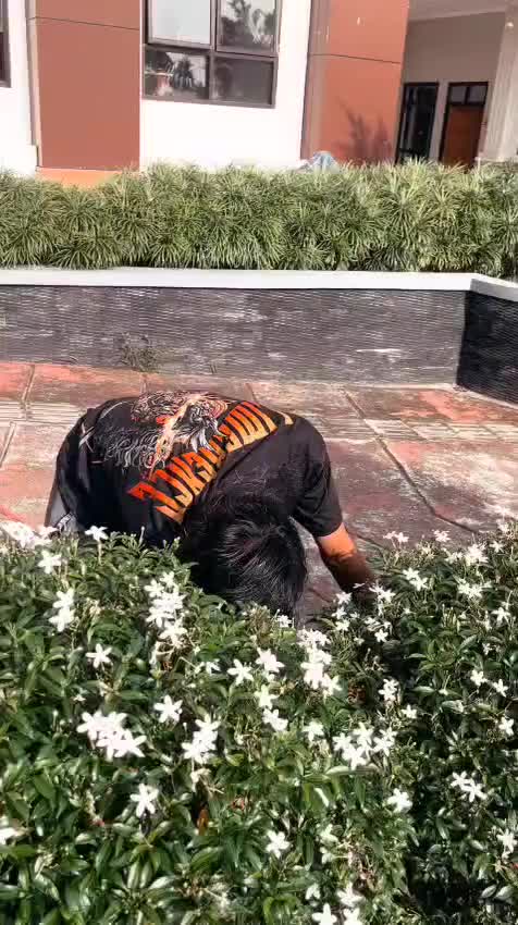 Video post from pa.pulaupunjung.