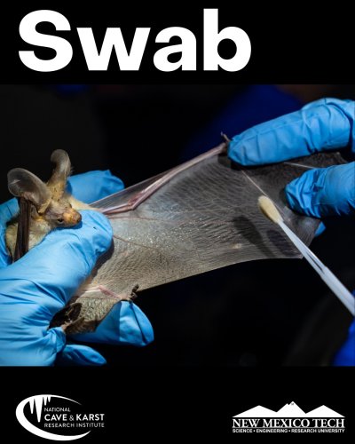 Photo post from nckri.