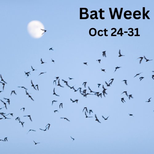 Photo post from prairielandconservancy.