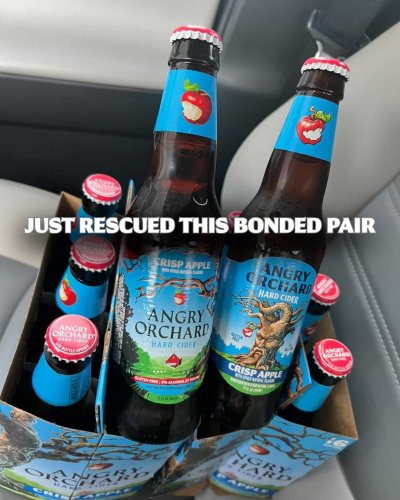 Angry Orchard | Refreshing Hard Cider with Attitude