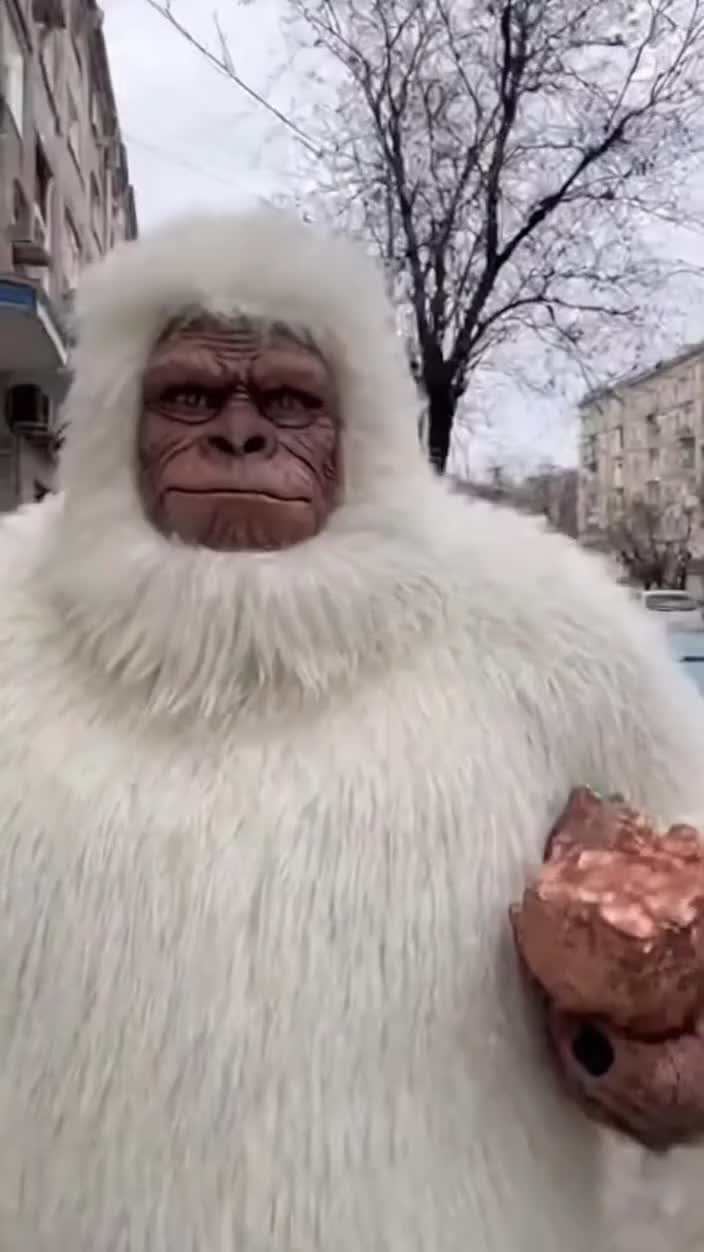 Video post from nemagnit.company.