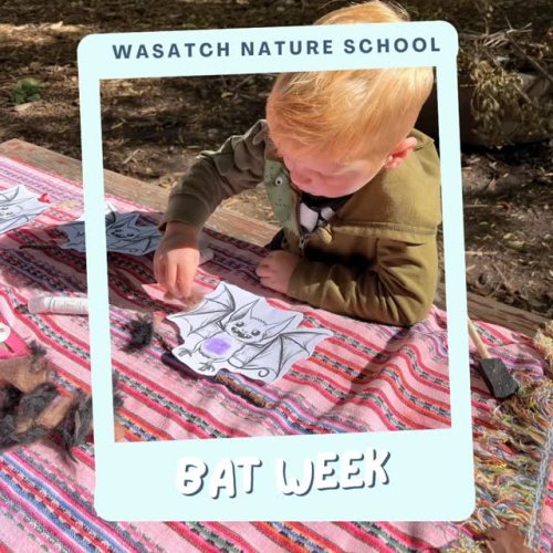 Video post from wasatchnatureschool.