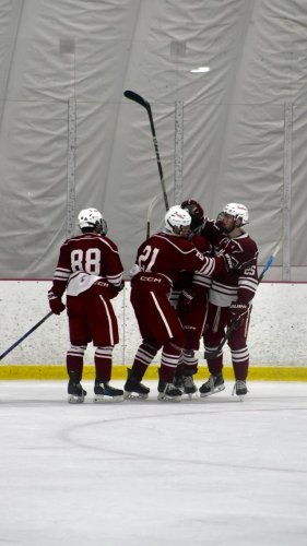 Video post from fu_hockey.