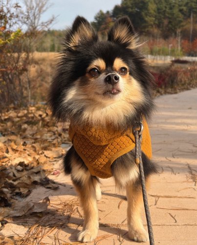 Carousel post from kkunggang.