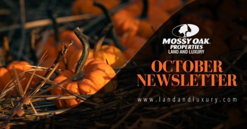 Photo post from mossy_oak_properties.