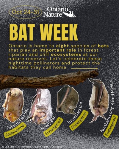 Carousel post from ontarionature.