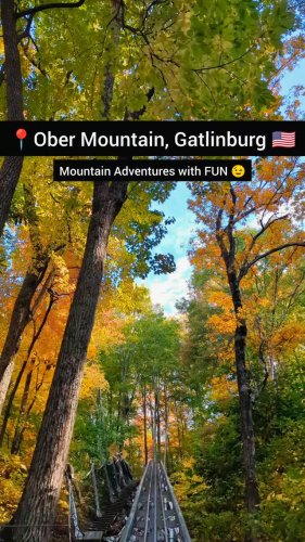 Video post from wander_tales_diary.