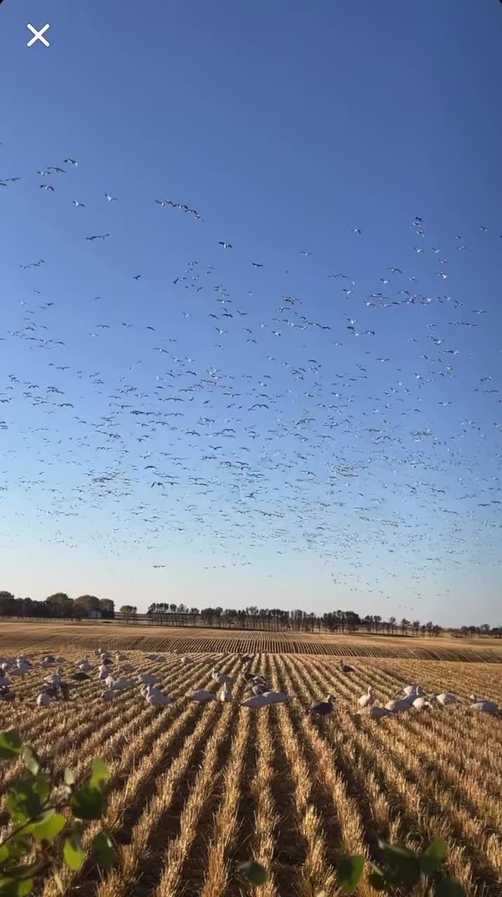 Video post from northernskiesoutfitters.