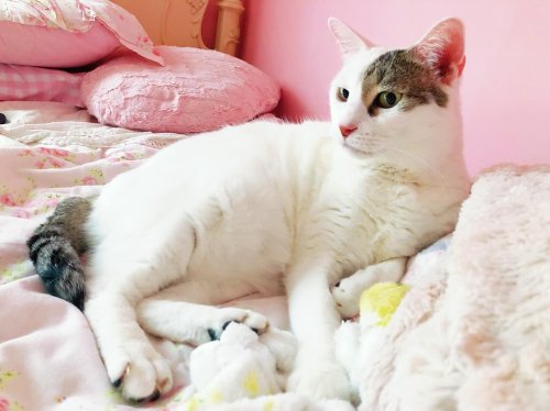 Photo post from margaritabloom.