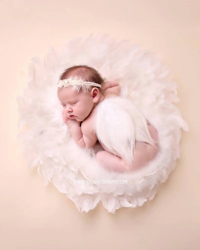 Photo post from abl_photography_sandiego.