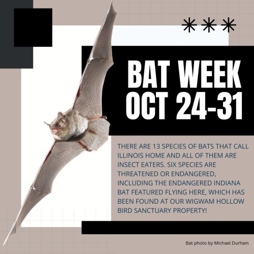 Photo post from prairielandconservancy.