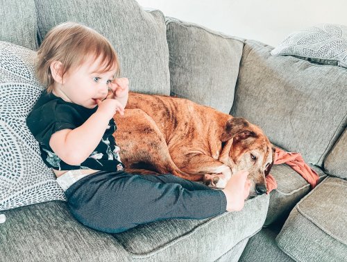 Carousel post from thescentedmermaid.