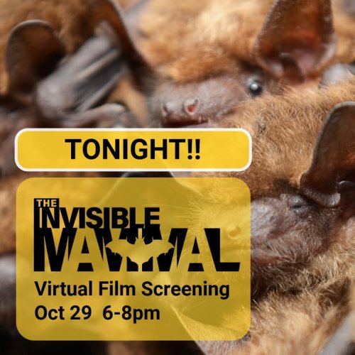 Photo post from thewdfw.