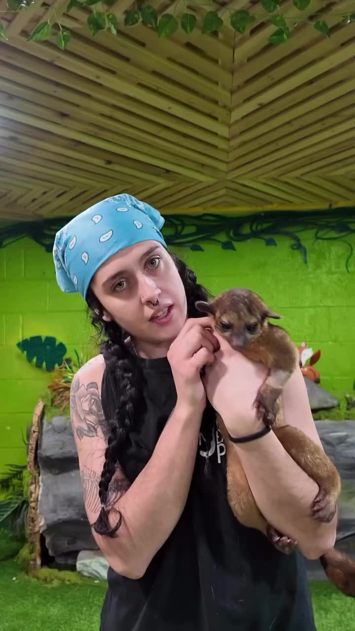 Video post from njexoticpets.