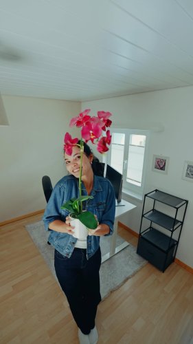 Video post from ricardo_ch.