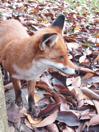 Carousel post from books_scarves_and_beige.