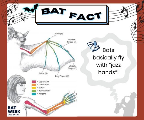 Photo post from merseytobeatic.