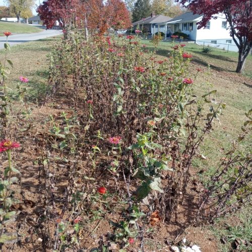 Carousel post from thebeeandbee042608.