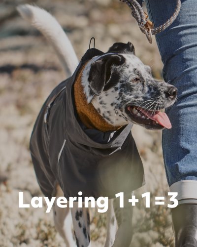 Carousel post from hurttakorea.