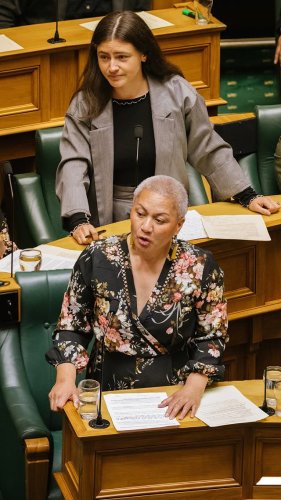 Video post from nzgreenparty.