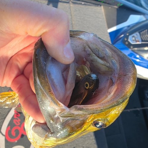 Photo post from garrettscustoms.