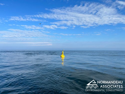 Photo post from normandeauassoc.