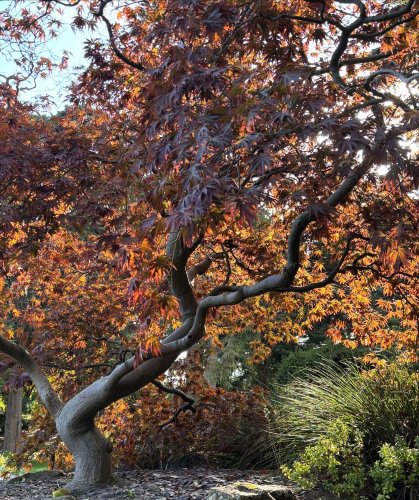 Photo post from gardenhousebrighton.