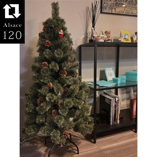 アルザスツリー 360cm énorme エノルム(特大) 樅 – alsace_tree