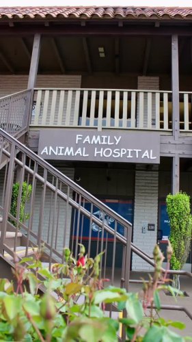 Video post from familyanimalhospitalcm.