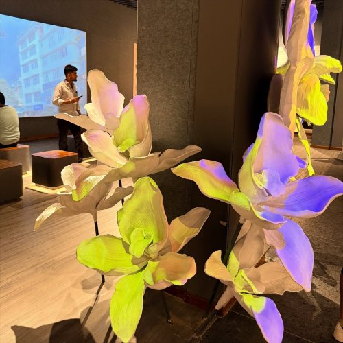 Carousel post from purkinje_crazyforplants.