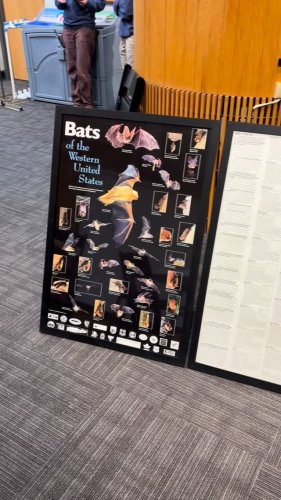 Video post from jordanrivercomm.