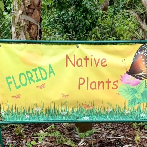 Carousel post from pbcc.fnps.