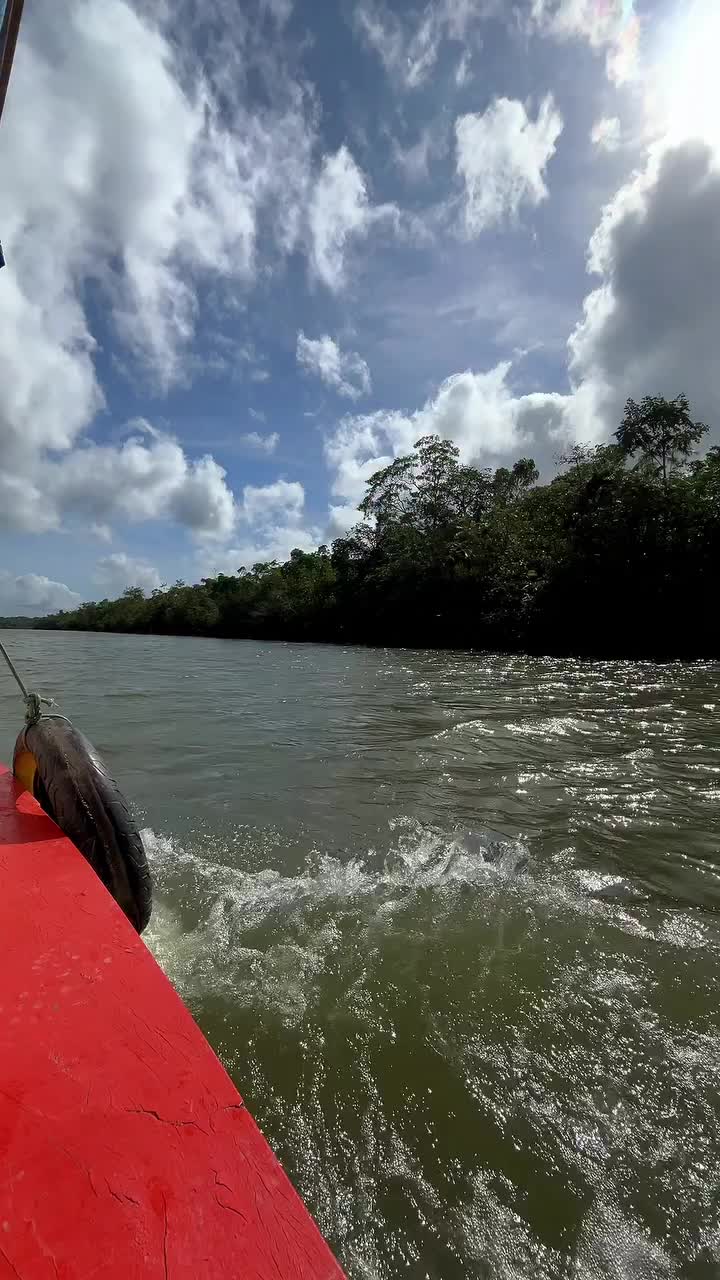 Video post from ananindeuapma.