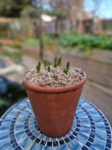 Carousel post from thyme.for.nature.