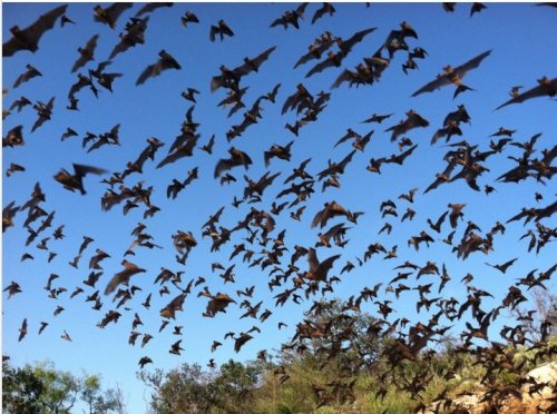 Photo post from sfi_forests.