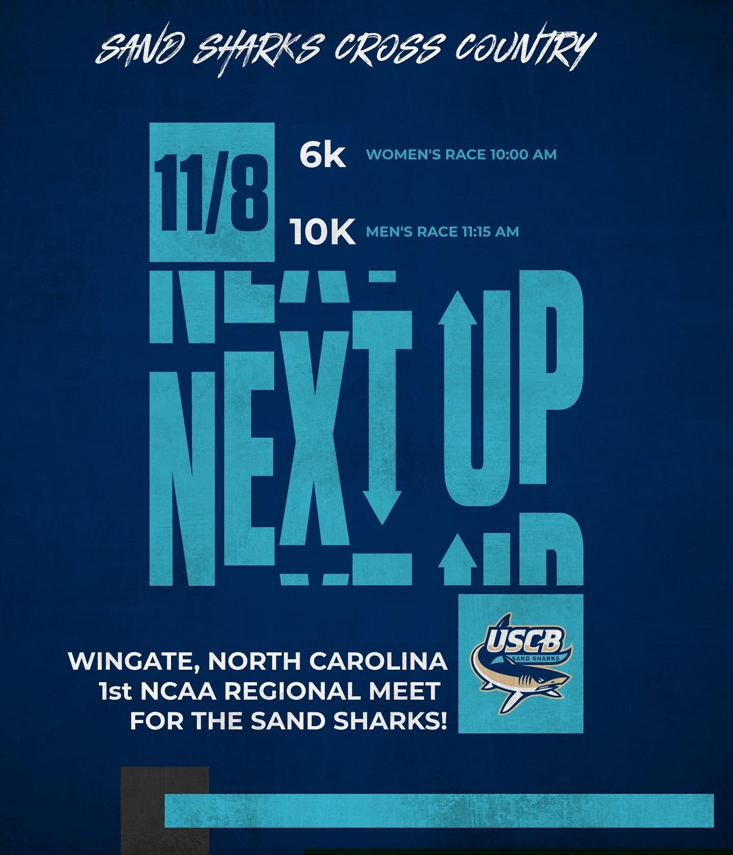 Photo post from uscbsandsharks.