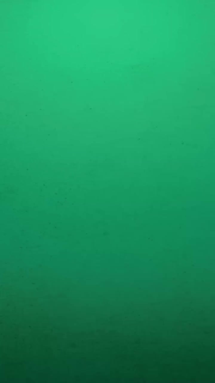 Video post from fn.life.