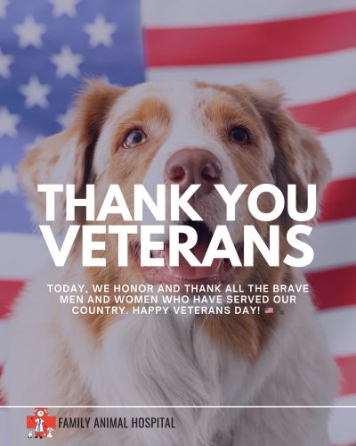 Photo post from familyanimalhospitalcm.