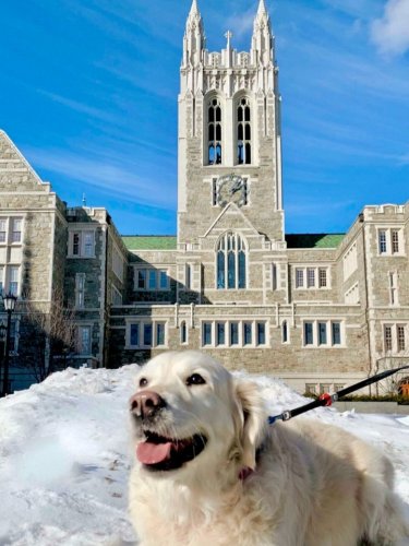 Photo post from bostoncollege.