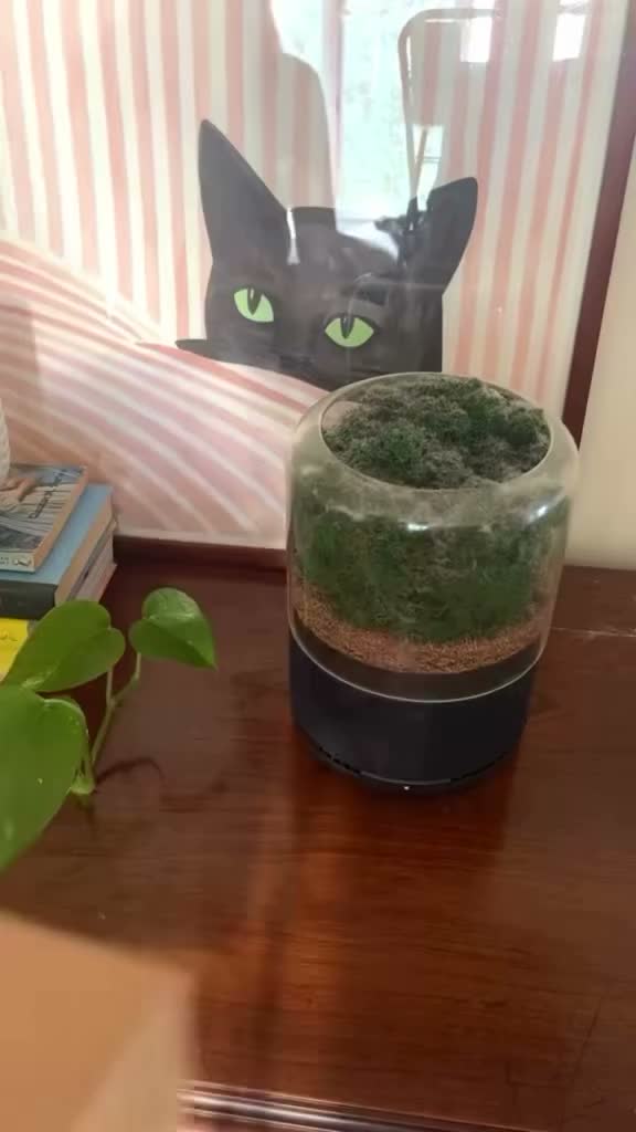 Video post from briiv.natural.