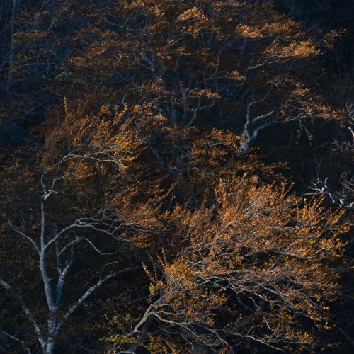 Carousel post from cantabriaturismo.