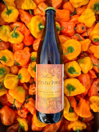 Carousel post from finnriver.