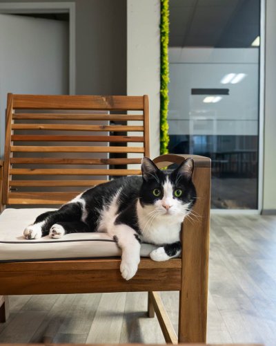 Photo post from medicalpettj.