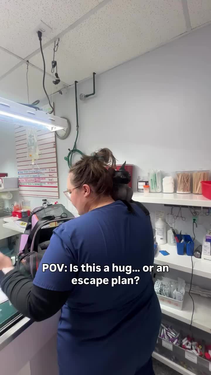 Video post from familyanimalhospitalcm.