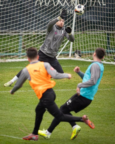 Carousel post from torpedolife.