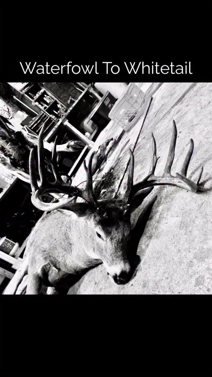 Video post from northernskiesoutfitters.