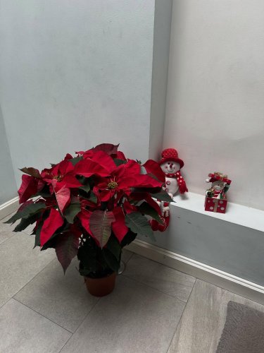 Photo post from la_gifteria.