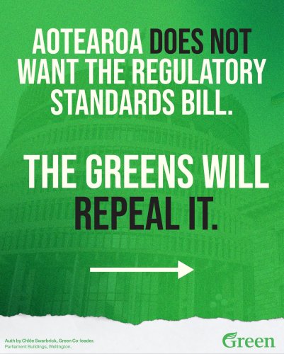 Carousel post from nzgreenparty.