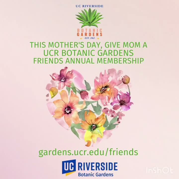 Video post from ucrbotanicgardens.