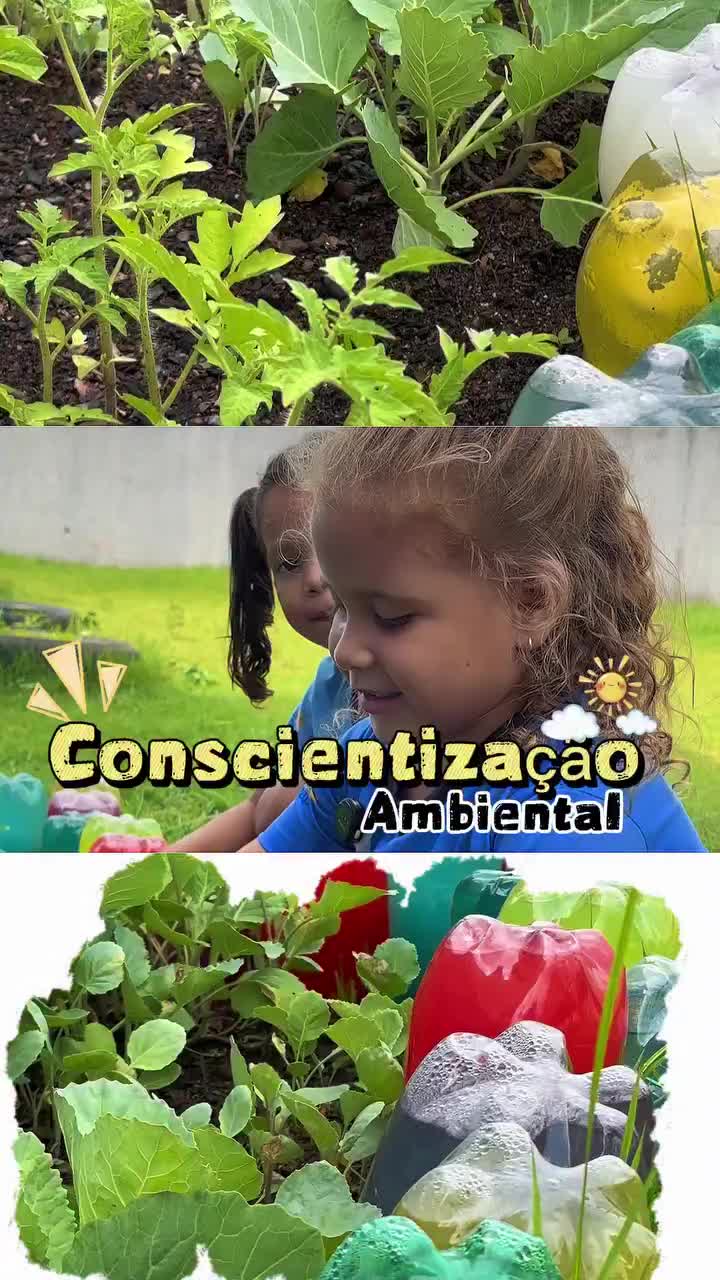 Video post from ananindeuapma.